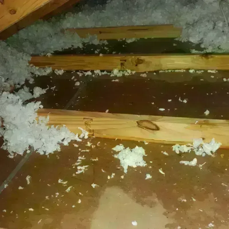 Attic Water Damage in Edmore, MI