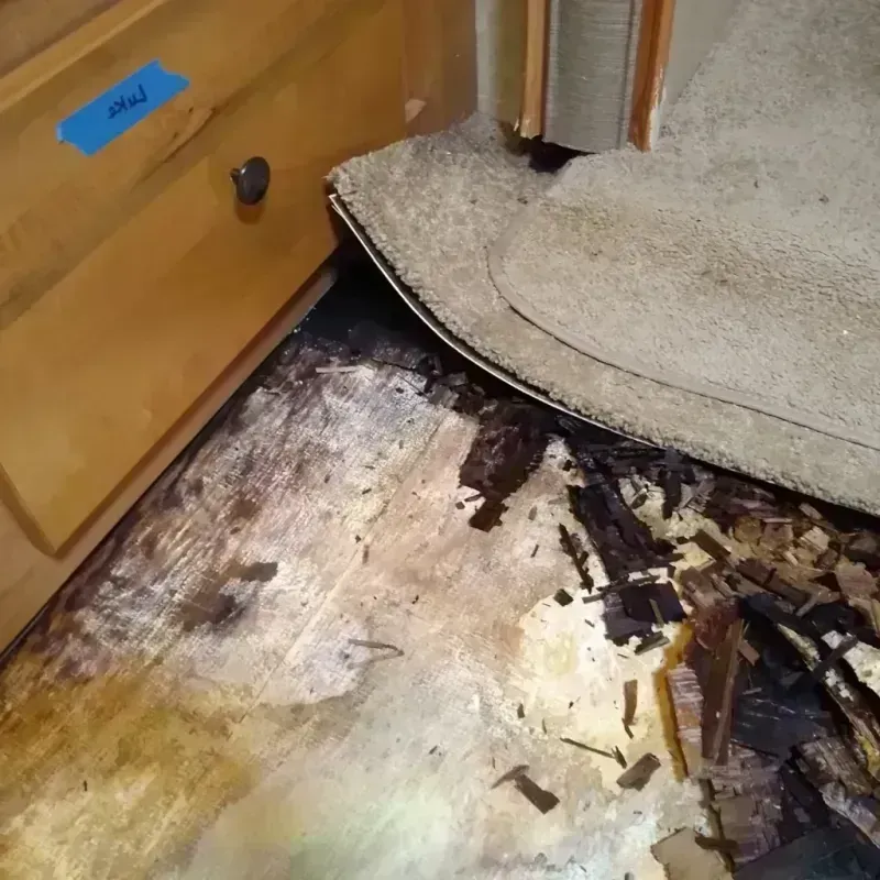 Wood Floor Water Damage in Edmore, MI